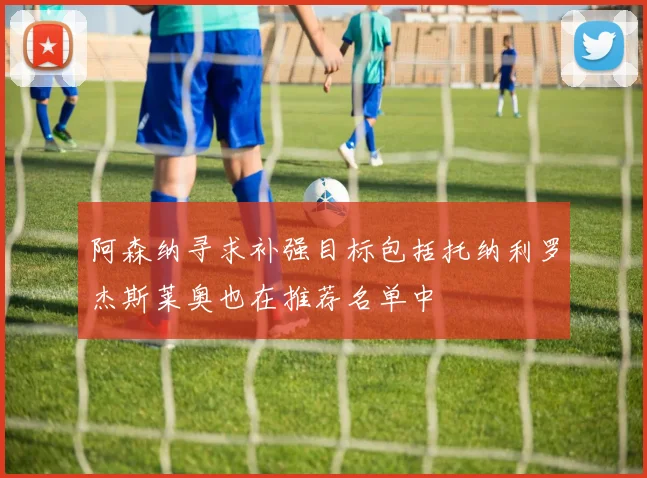阿森纳寻求补强目标包括托纳利罗杰斯莱奥也在推荐名单中